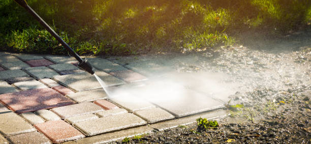 Best Building Exterior Washing  in Odem, TX
